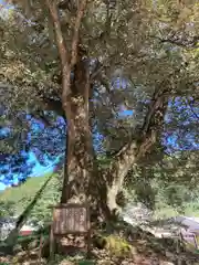 廣瀬神社(愛媛県)