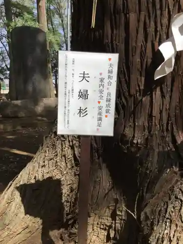 東蕗田天満社の自然