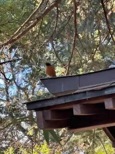 氷川女體神社(埼玉県)