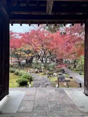 鹿王院(京都府)