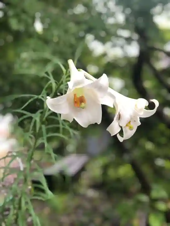 木舟山 順教寺の自然