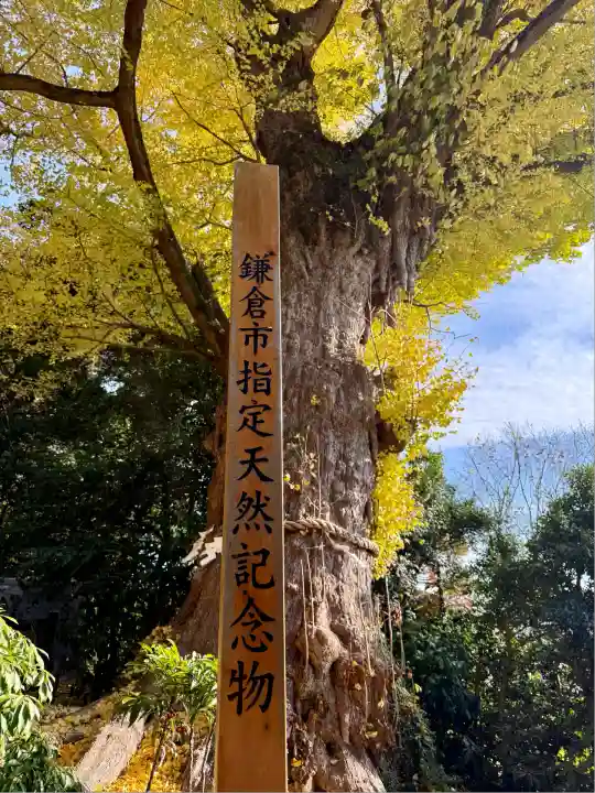 荏柄天神社(神奈川県)