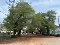 白山神社(千葉県)
