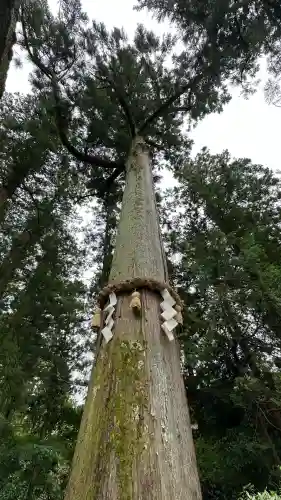 高鴨神社(奈良県)