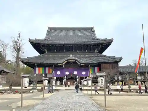 本山専修寺の本殿・本堂