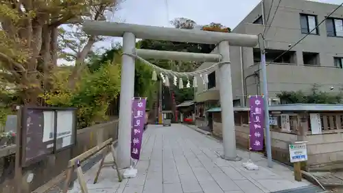 遠見岬神社の鳥居