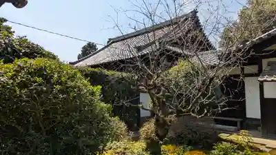 東光寺(京都府)