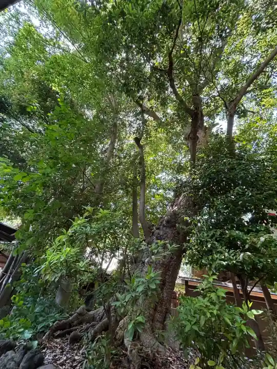 検見川神社(千葉県)