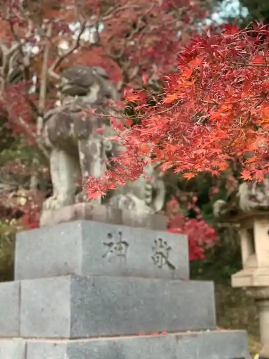 香取神宮の狛犬