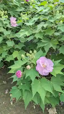 真正極楽寺(真如堂)(京都府)