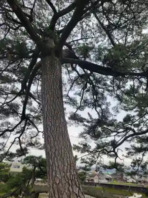瀧姫神社(愛媛県)