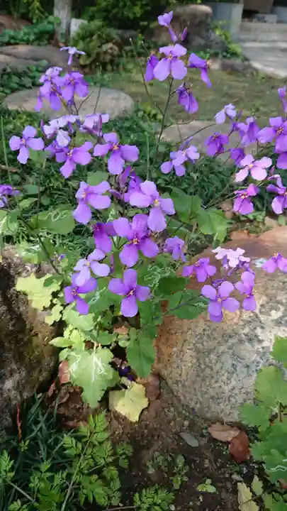 須賀神社の自然