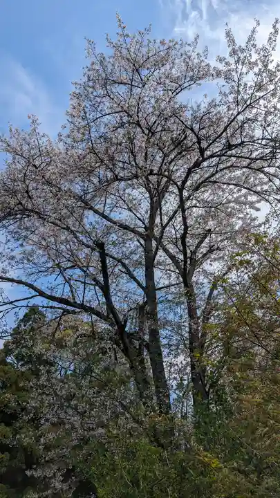 惠心院(京都府)