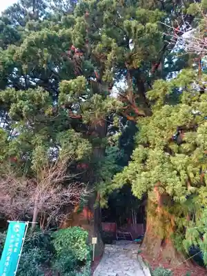 熊野那智大社のその他建物