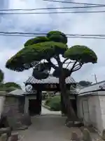 松應寺(東京都)