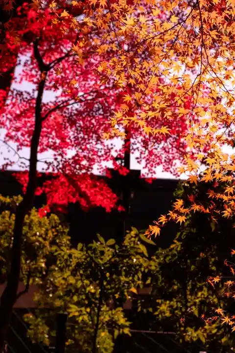賀茂別雷神社(上賀茂神社)(京都府)