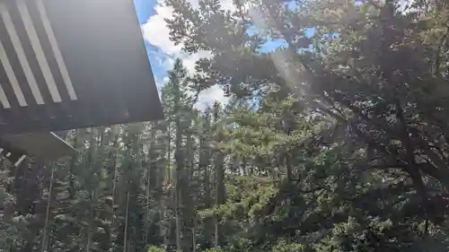 忠類神社の自然