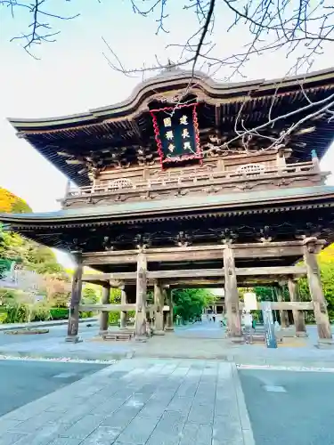 龍峰院(神奈川県)