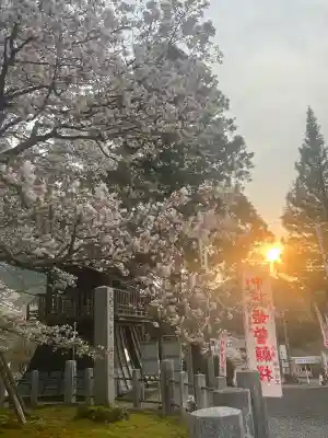 願成寺の{uncategorized: "未分類", other: "その他", undefined: "問題あり", building: "その他建物", grave: "お墓", sacred_gate: "鳥居", guardian: "狛犬", statue: "像", buddha: "仏像", history: "歴史", nature: "自然", garden: "庭園", animal: "動物", pagoda: "塔", temizu: "手水舎", mountain_gate: "山門・神門", sanctuary: "本殿・本堂", subordinate: "末社・摂社", art: "芸術", scenery: "景色", jizo: "地蔵", ema: "絵馬", goshuin: "御朱印", omikuji: "おみくじ", items: "授与品その他", amulet: "お守り", goshuincho: "御朱印帳", eats: "食事", festival: "お祭り", votive_dance: "神楽", shichigosan: "七五三参", wedding: "結婚式", experience: "体験その他", initially: "初詣", around: "周辺", anti_infection: "感染症対策"}
