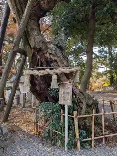 川尻八幡宮(神奈川県)