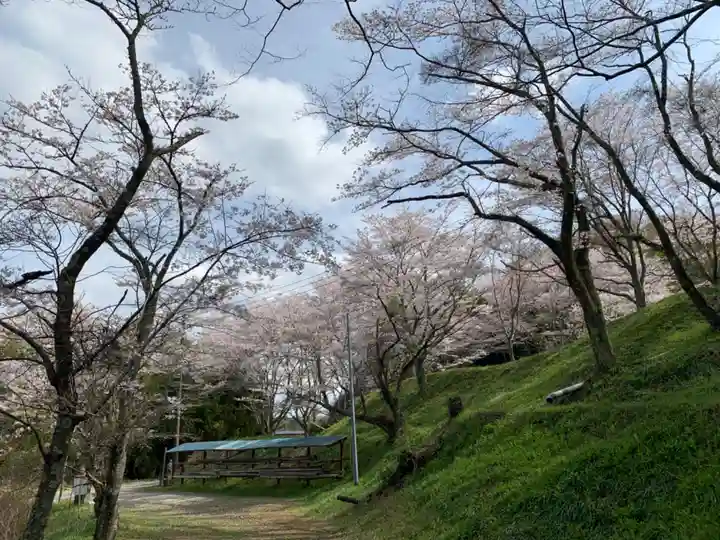 八幡神社の自然