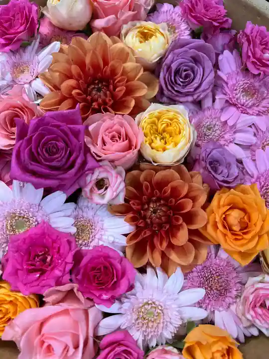 彌都加伎神社の手水舎