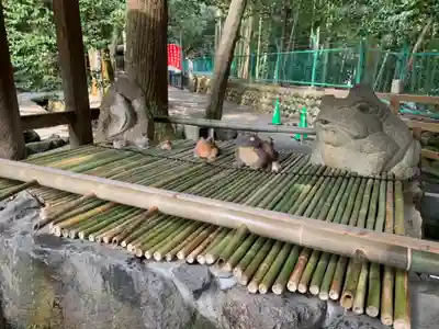 椿大神社の手水舎