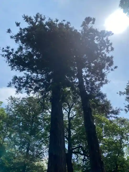 東蕗田天満社(茨城県)