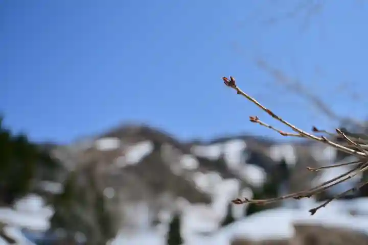 高龍神社 奥之院(新潟県)