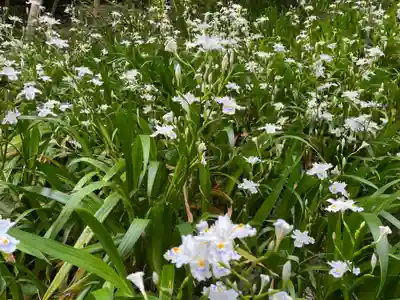 松尾寺(京都府)