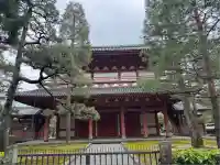 大徳寺(京都府)