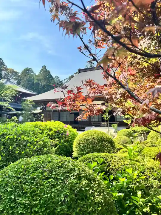 龍潭寺(静岡県)
