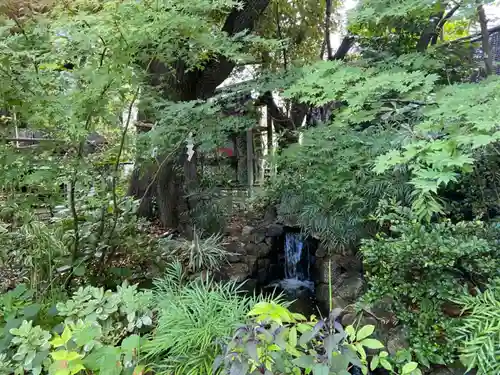 東京大神宮の庭園
