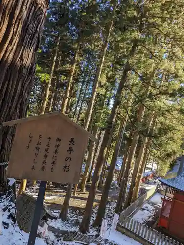 志和稲荷神社(岩手県)