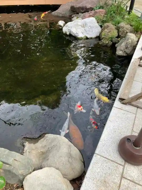 愛宕神社の動物