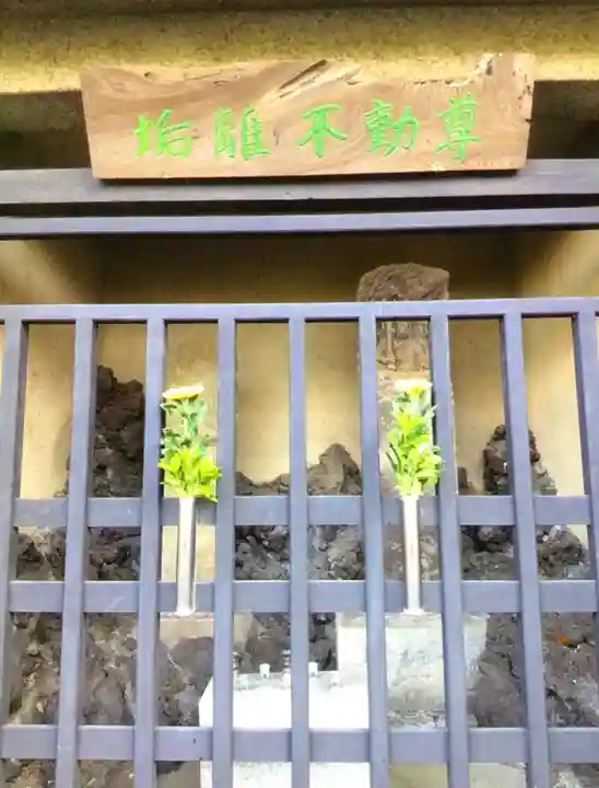 福蔵院(東京都)