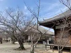 教信寺の建物その他