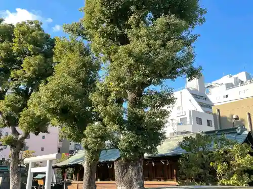 大阪天満宮の{uncategorized: "未分類", other: "その他", undefined: "問題あり", building: "その他建物", grave: "お墓", sacred_gate: "鳥居", guardian: "狛犬", statue: "像", buddha: "仏像", history: "歴史", nature: "自然", garden: "庭園", animal: "動物", pagoda: "塔", temizu: "手水舎", mountain_gate: "山門・神門", sanctuary: "本殿・本堂", subordinate: "末社・摂社", art: "芸術", scenery: "景色", jizo: "地蔵", ema: "絵馬", goshuin: "御朱印", omikuji: "おみくじ", items: "授与品その他", amulet: "お守り", goshuincho: "御朱印帳", eats: "食事", festival: "お祭り", votive_dance: "神楽", shichigosan: "七五三参", wedding: "結婚式", experience: "体験その他", initially: "初詣", around: "周辺", anti_infection: "感染症対策"}