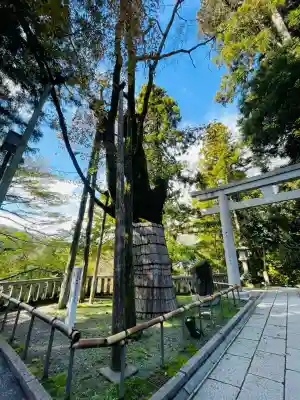 白山比咩神社(石川県)