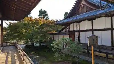 大覚寺(京都府)