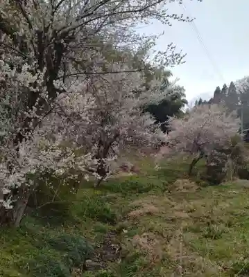 諏訪神社(宮城県)