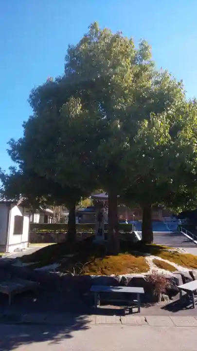 御誕生寺(猫寺)(福井県)