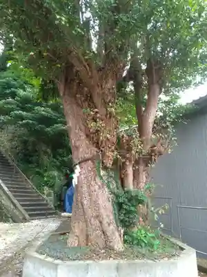 住吉神社のその他建物