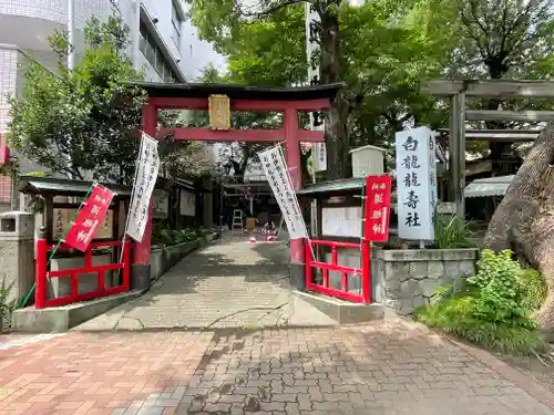 洲嵜神社の鳥居