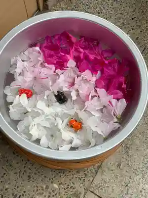 御井神社の手水舎