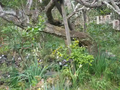 光則寺のその他建物
