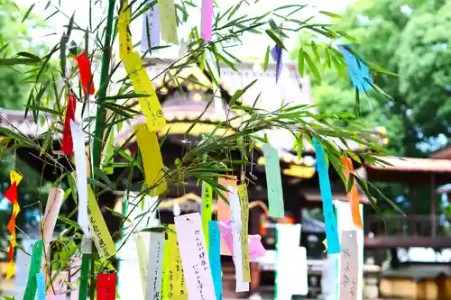 三津厳島神社の体験その他