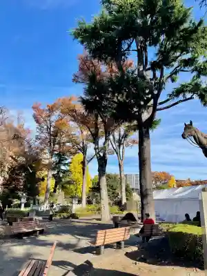 東京競馬場馬頭観音(東京都)