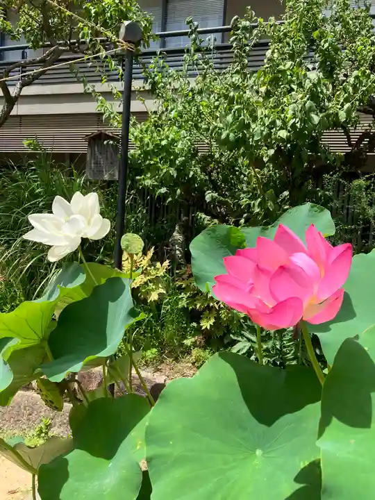 生田神社(兵庫県)