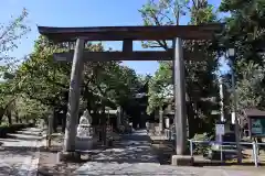 荏原神社の鳥居